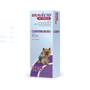 Bravecto 1M Triple Tripack Tableta Masticable Antiparasitaria Externa e Interna para Perro, 1.27 a 2.5 kg Bravecto 1M Triple Tripack Tableta Masticable Antiparasitaria Externa e Interna para Perro, 1.27 a 2.5 kg
