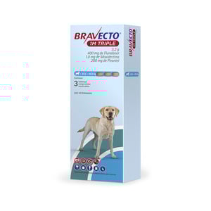 Bravecto 1M Triple Tripack Tableta Masticable Antiparasitaria Externa e Interna para Perro, 20 a 40 kg Bravecto 1M Triple Tripack Tableta Masticable Antiparasitaria Externa e Interna para Perro, 20 a 40 kg