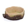 Petco Plato en Forma de Tronco de Diámetro para Reptil, 5 cm de Alto x 12.7 cm Petco Plato en Forma de Tronco de Diámetro para Reptil, 5 cm de Alto x 12.7 cm