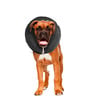 ZenPet ZenCollar Collar Isabelino Inflable para Perro, Grande ZenPet ZenCollar Collar Isabelino Inflable para Perro, Grande