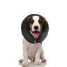 ZenPet ZenCollar Collar Isabelino Inflable para Perro, Chico ZenPet ZenCollar Collar Isabelino Inflable para Perro, Chico