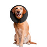 ZenPet ZenCollar Collar Isabelino Inflable para Perro, X-Grande ZenPet ZenCollar Collar Isabelino Inflable para Perro, X-Grande