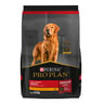 Pro Plan Optihealth Alimento Seco para Perro Adulto Raza Mediana Receta Pollo, 3 kg Pro Plan Optihealth Alimento Seco para Perro Adulto Raza Mediana Receta Pollo, 3 kg