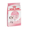 Royal Canin Alimento Seco para Gatito Hasta los 12 Meses, 1.37 kg Royal Canin Alimento Seco para Gatito Hasta los 12 Meses, 1.37 kg
