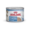 Royal Canin Starter Mother & Babydog Alimento Húmedo para Perro en Lactancia y Cachorro, 145 g Royal Canin Starter Mother & Babydog Alimento Húmedo para Perro en Lactancia y Cachorro, 145 g