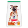 Hill's Science Diet Puppy Large Breed Alimento  para Cachorro Raza Grande Receta Pollo, 12.5 kg Hill's Science Diet Puppy Large Breed Alimento  para Cachorro Raza Grande Receta Pollo, 12.5 kg