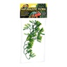 Zoo Med Natural Bush Planta Estrella de Borneo de Decoración para Terrario, Chica Zoo Med Natural Bush Planta Estrella de Borneo de Decoración para Terrario, Chica