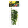Zoo Med Natural Bush Bamboo de Madagascar de Decoración para Terrario, Mediana Zoo Med Natural Bush Bamboo de Madagascar de Decoración para Terrario, Mediana