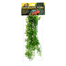 Zoo Med Natural Bush Bamboo de Madagascar de Decoración para Terrario, Grande Zoo Med Natural Bush Bamboo de Madagascar de Decoración para Terrario, Grande