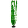 Imagitarium Aquarium Plant Ambulia Verde de Fondo para Acuario Imagitarium Aquarium Plant Ambulia Verde de Fondo para Acuario