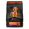 Pro Plan Sensitive Skin Optiderma Alimento para Perro Adulto Raza Pequeña Receta Salmón, 1 kg Pro Plan Sensitive Skin Optiderma Alimento para Perro Adulto Raza Pequeña Receta Salmón, 1 kg