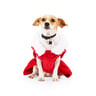 Merry Makings Disfraz Sra. Claus para Perro, Chico Merry Makings Disfraz Sra. Claus para Perro, Chico