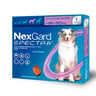 NexGard Spectra Antipulgas Masticable Desparasitante Externo e Interno para Perro, Grande NexGard Spectra Antipulgas Masticable Desparasitante Externo e Interno para Perro, Grande