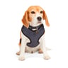 EveryYay Arnés de Malla Ajuste Romano Color Gris para Perro, X-Chico EveryYay Arnés de Malla Ajuste Romano Color Gris para Perro, X-Chico