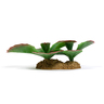 Imagitarium Decoración Suculenta para Terrario, Mediana Imagitarium Decoración Suculenta para Terrario, Mediana