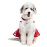 Merry Makings Vestido de Santa Baby para Perro, Chico Merry Makings Vestido de Santa Baby para Perro, Chico
