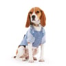 Reddy Fall Winter Sudadera Azul con Bolsa para Perro, Chico Reddy Fall Winter Sudadera Azul con Bolsa para Perro, Chico