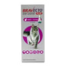 Bravecto Plus Pipeta Desparasitante Externa e Interna para Gato, 500 mg Bravecto Plus Pipeta Desparasitante Externa e Interna para Gato, 500 mg