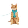 Youly Set Arnés y Correa Color Azul para Gato, Chico/Mediano Youly Set Arnés y Correa Color Azul para Gato, Chico/Mediano
