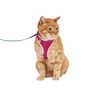 Youly Set Arnés y Correa Color Rosa para Gato, Chico/Mediano Youly Set Arnés y Correa Color Rosa para Gato, Chico/Mediano