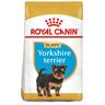 Royal Canin Alimento Seco para Perro Cachorro Raza Yorkshire Terrier, 1 kg Royal Canin Alimento Seco para Perro Cachorro Raza Yorkshire Terrier, 1 kg