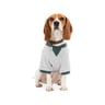 Reddy Sudadera Gris Jaspeado con Ribete Verde y Detalle Plisado para Perro, Mediano Reddy Sudadera Gris Jaspeado con Ribete Verde y Detalle Plisado para Perro, Mediano