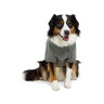 Reddy Playera Estampada Frase Mistletoe para Perro, X-Grande Reddy Playera Estampada Frase Mistletoe para Perro, X-Grande