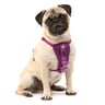 Kurgo Arnés para Viaje en Coche y Paseo Ajuste Romano Color Morado para Perro, Chico Kurgo Arnés para Viaje en Coche y Paseo Ajuste Romano Color Morado para Perro, Chico