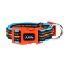 Doog Neon Colección Beethoven Collar de Neopreno Secado Rápido con Broche para Perro, Chico Doog Neon Colección Beethoven Collar de Neopreno Secado Rápido con Broche para Perro, Chico