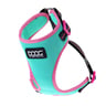 Doog Neon Colección Rin Tin Tin Arnés de Neoflex con Ajuste Romano para Perro, Chico Doog Neon Colección Rin Tin Tin Arnés de Neoflex con Ajuste Romano para Perro, Chico