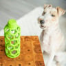 JW Pet Company Hol-ee Juguete en Forma de Botella Color Verde para Perro, Mediano JW Pet Company Hol-ee Juguete en Forma de Botella Color Verde para Perro, Mediano