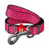 Waudog Nylon Correa Diseño Sandia para Perro Raza Mediana, 1.22 m Waudog Nylon Correa Diseño Sandia para Perro Raza Mediana, 1.22 m