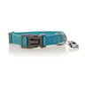 Doog Colección Snoopy Collar de Neopreno Secado Rápido con Broche para Perro, Chico Doog Colección Snoopy Collar de Neopreno Secado Rápido con Broche para Perro, Chico