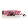 Doog Colección Toto Collar de Neopreno Secado Rápido con Broche para Perro, Mediano Doog Colección Toto Collar de Neopreno Secado Rápido con Broche para Perro, Mediano