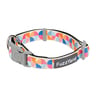 FuzzYard Collar de Neopreno Diseño Fresh Zest con Broche para Perro, Chico FuzzYard Collar de Neopreno Diseño Fresh Zest con Broche para Perro, Chico