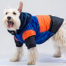 Urban Dog Chamarra Estilo Bale Azul, Chico Urban Dog Chamarra Estilo Bale Azul, Chico