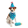 Youly Celebration Set de Cumpleaños Color Azul para Perro, Chico/Mediano Youly Celebration Set de Cumpleaños Color Azul para Perro, Chico/Mediano