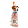 Youly Celebration Set de Cumpleaños Color Rosa para Perro, Chico/Mediano Youly Celebration Set de Cumpleaños Color Rosa para Perro, Chico/Mediano