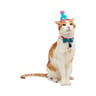 Youly Celebration Set de Cumpleaños Color Azul para Gatos, Unitalla Youly Celebration Set de Cumpleaños Color Azul para Gatos, Unitalla