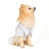 Dogtlan Vestido Scrunchie Corazones Blanco, XX-Chico Dogtlan Vestido Scrunchie Corazones Blanco, XX-Chico
