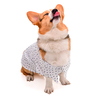 Dogtlan Camisa Corazones Blanca, Mediano Dogtlan Camisa Corazones Blanca, Mediano