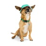 Youly Summer Sombrero Tipo Pescador con Patrón a Rayas Verde para Perro, Chico/Mediano Youly Summer Sombrero Tipo Pescador con Patrón a Rayas Verde para Perro, Chico/Mediano