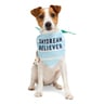 Youly Summer Bandana a Rayas Color Verde para Perro, X-Chico/Chico Youly Summer Bandana a Rayas Color Verde para Perro, X-Chico/Chico