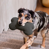 Fuzzyard Life Peluche en Forma de Hueso Doble Textura para Perro Color Gris Oscuro, Grande Fuzzyard Life Peluche en Forma de Hueso Doble Textura para Perro Color Gris Oscuro, Grande