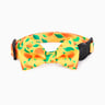 HugSmart Collar con Broche de Seguridad y Moño Patrón Mango para Gatito, Chico HugSmart Collar con Broche de Seguridad y Moño Patrón Mango para Gatito, Chico