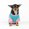 Dogtlan Playera Hug Me Aqua para Perro, X-Chico Dogtlan Playera Hug Me Aqua para Perro, X-Chico