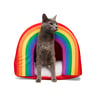 Youly Pride Cama Tipo Cueva con Diseño de Arcoíris para Gato, Unitalla Youly Pride Cama Tipo Cueva con Diseño de Arcoíris para Gato, Unitalla