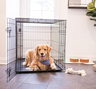 Carlson Jaula de Entrenamiento Plegable de Acero 1 Puerta con Doble Seguro para Perro, X-Grande Carlson Jaula de Entrenamiento Plegable de Acero 1 Puerta con Doble Seguro para Perro, X-Grande