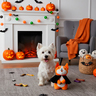 Latipaw Halloween Corgi Vampiro de Peluche para Perro, Grande Latipaw Halloween Corgi Vampiro de Peluche para Perro, Grande