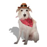 Bootique Halloween Disfraz Sombrero Vaquero para perro, Grande/X-Grande Bootique Halloween Disfraz Sombrero Vaquero para perro, Grande/X-Grande
